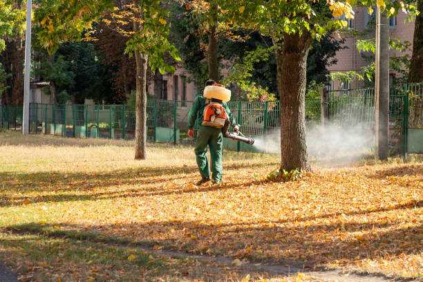 Wildlife Control Services in Woodlyn, PA